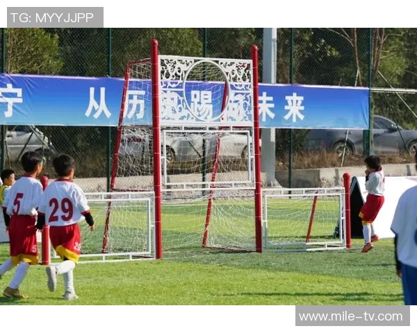 浙江足球特招新政策助力青少年成长与职业发展全面提升