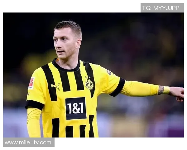 罗伊斯:德国足球的灵魂人物与不屈精神的象征 罗伊斯:德国足球的灵魂人物与不屈精神的象征